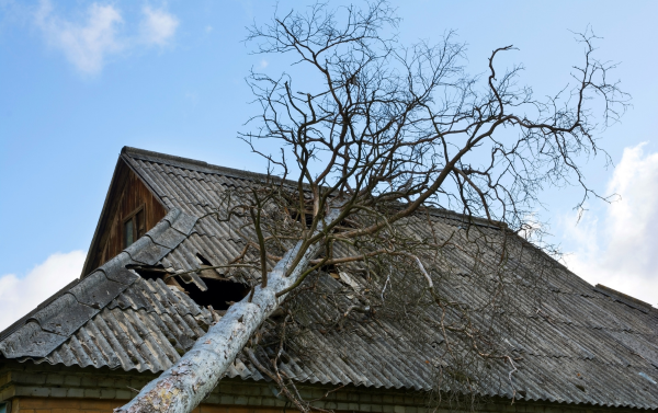 Storm Damage