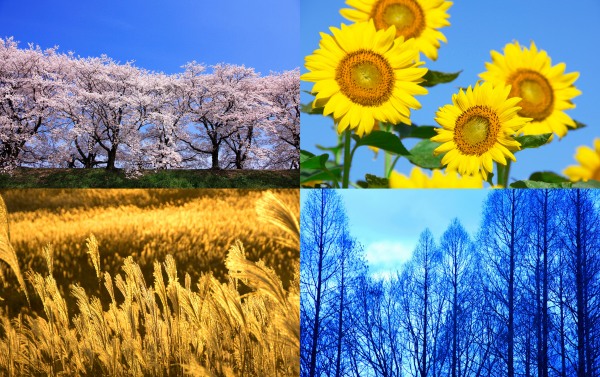 Four-Season Climate Challenges Four Season Climate