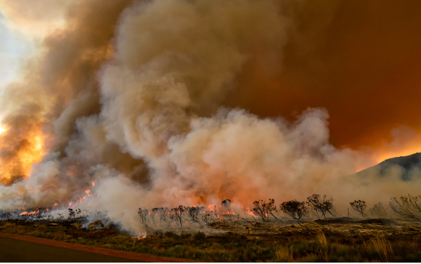 Wildfire Interface Exposure Wildfire
